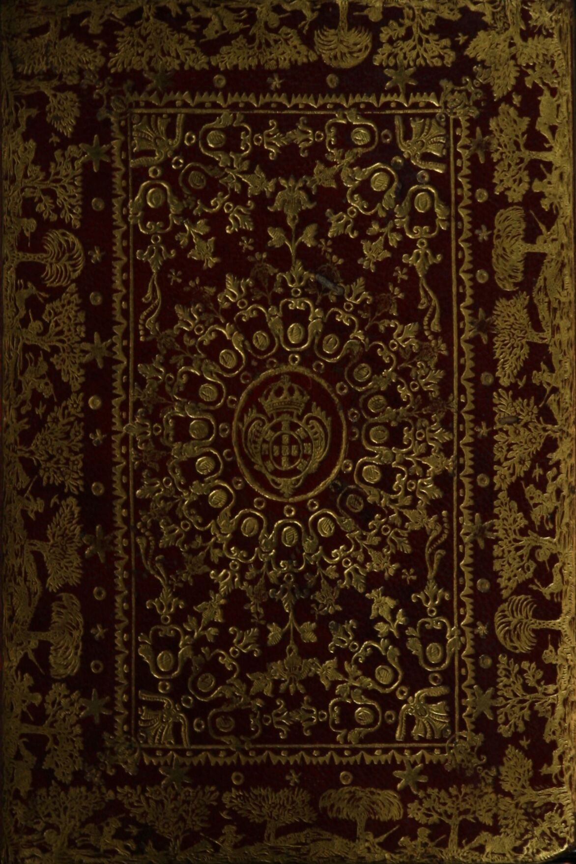 Thumbnail Image